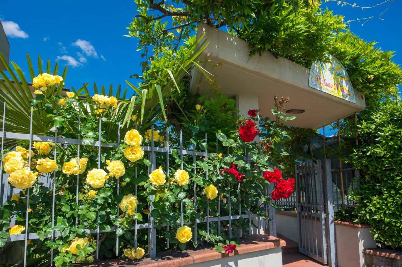 Bed & Breakfast Profumo D'Estate Agliana Buitenkant foto