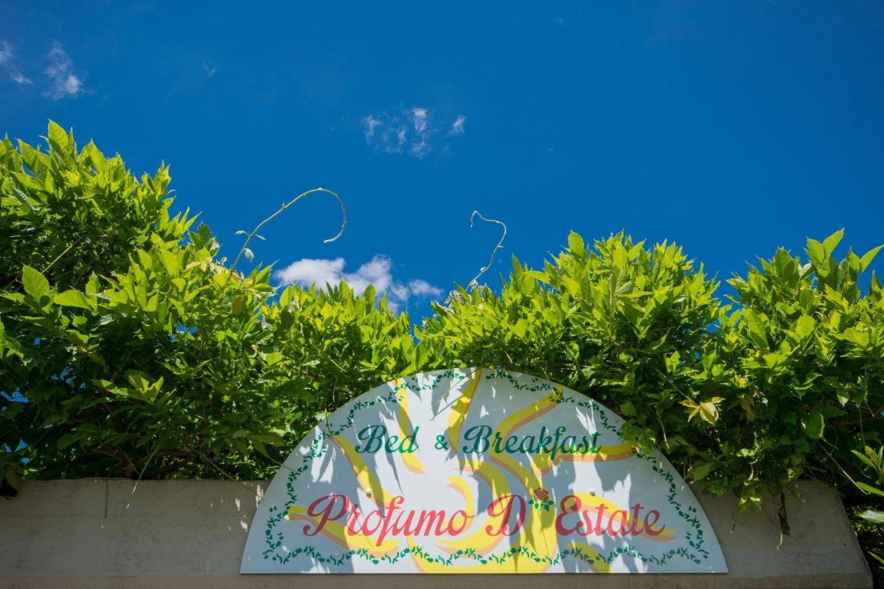 Bed & Breakfast Profumo D'Estate Agliana Buitenkant foto